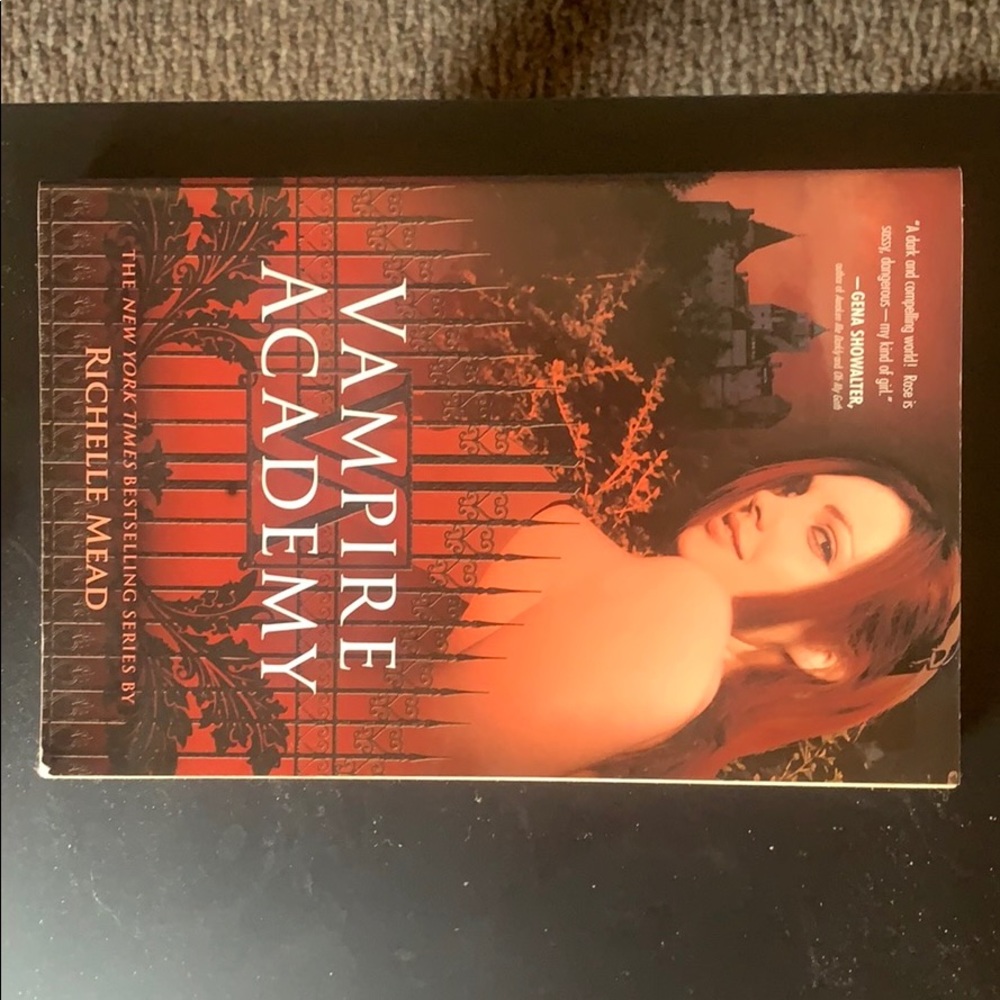 Vampire academy paperback book